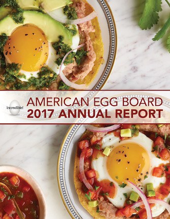 Cover of 2017 Annual Report