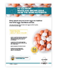 Cover of White and Brown eggs PDF