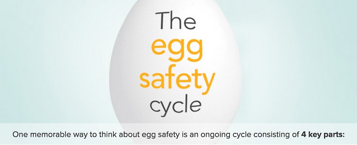 The egg safety cycle