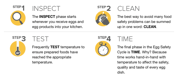 Egg safety cycle four steps
