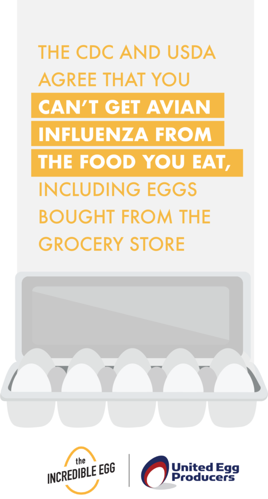 The CDC and USDA agree that you can't get avian influenza from the food you eat, including eggs bought from the grocery store