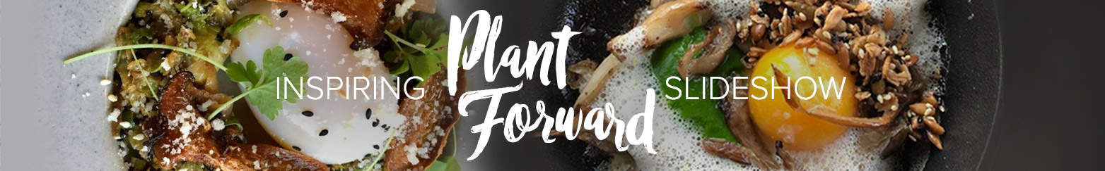 Inspiring Plant-Forward Slideshow