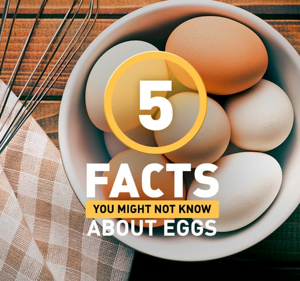 5 facts you might not know about eggs
