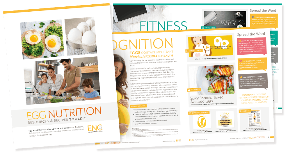 Screenshot of Egg Nutrition Resources & Recipes Toolkit