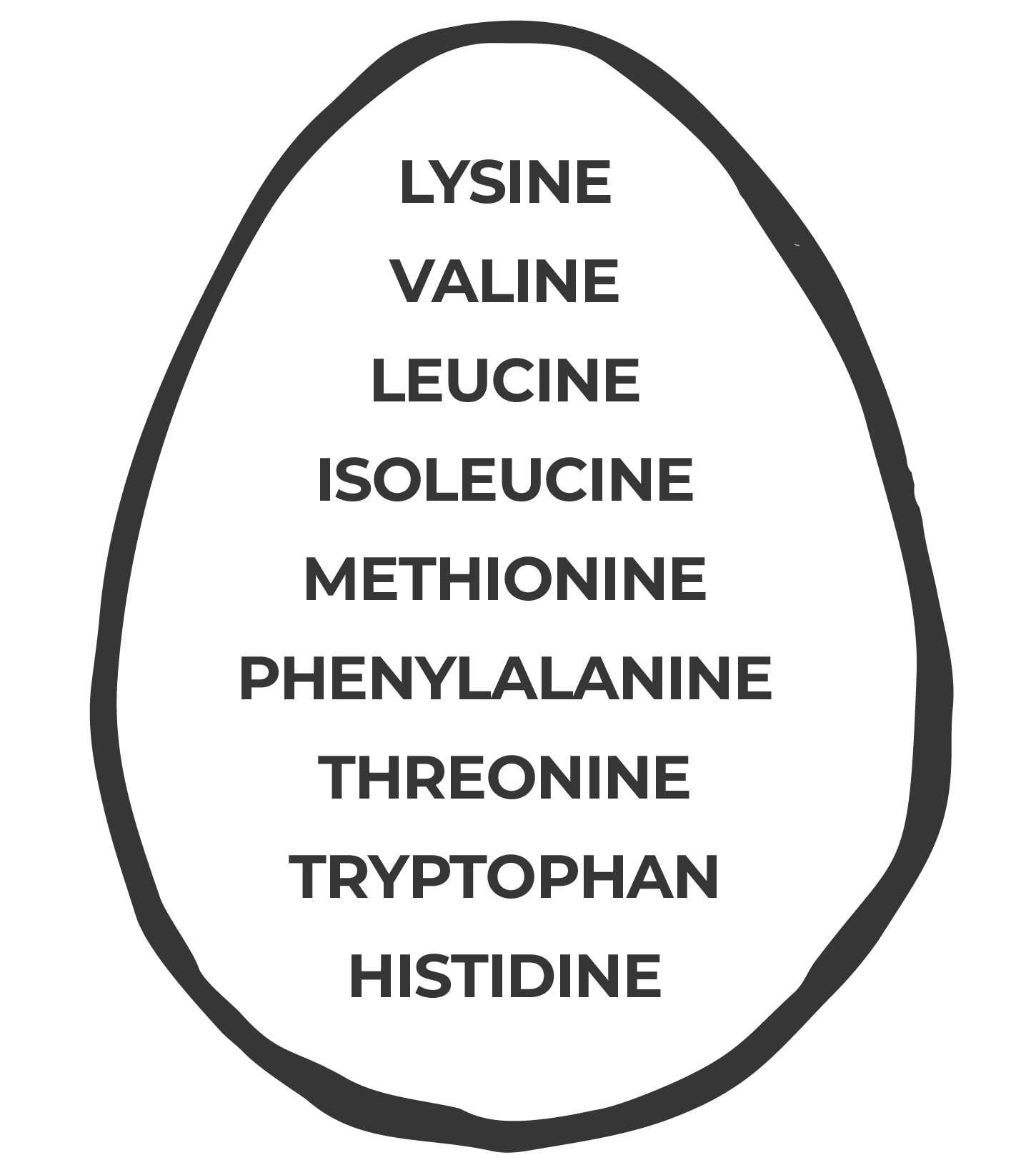 an egg with a list of nutrients on it