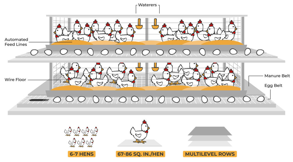 diagram of a conventional egg farm