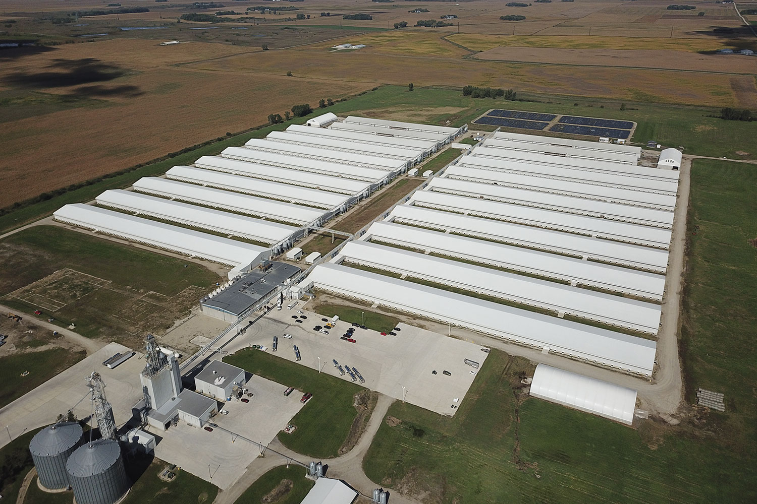 Hen housing aerial 