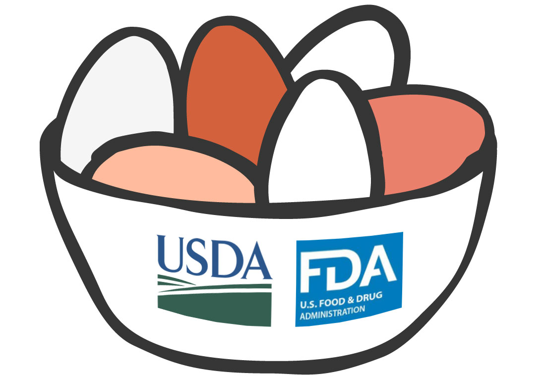 illustration of a bowl of eggs. the bowl has the USDA and FDA logos on the side.