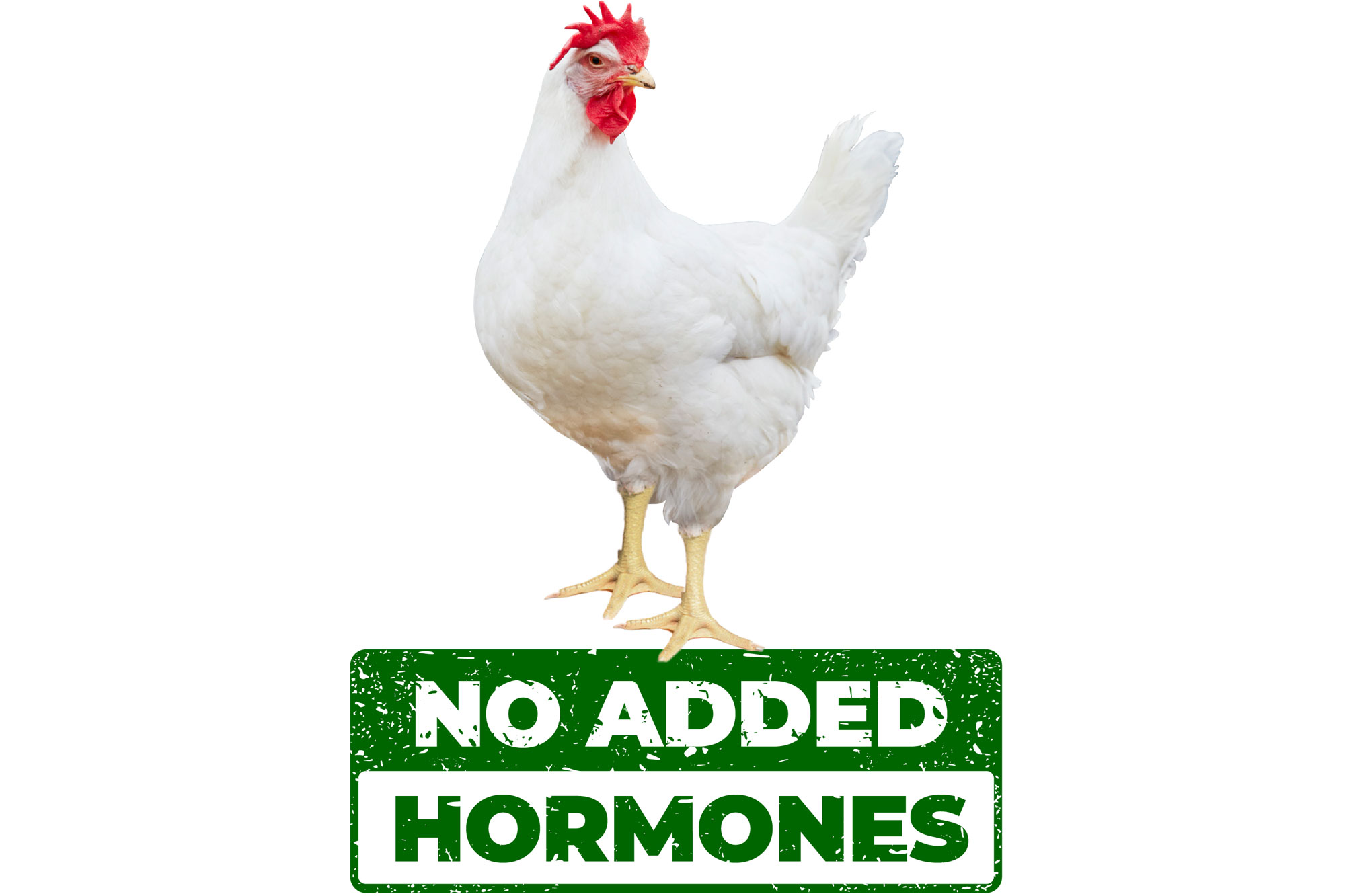 Eggs without added hormones