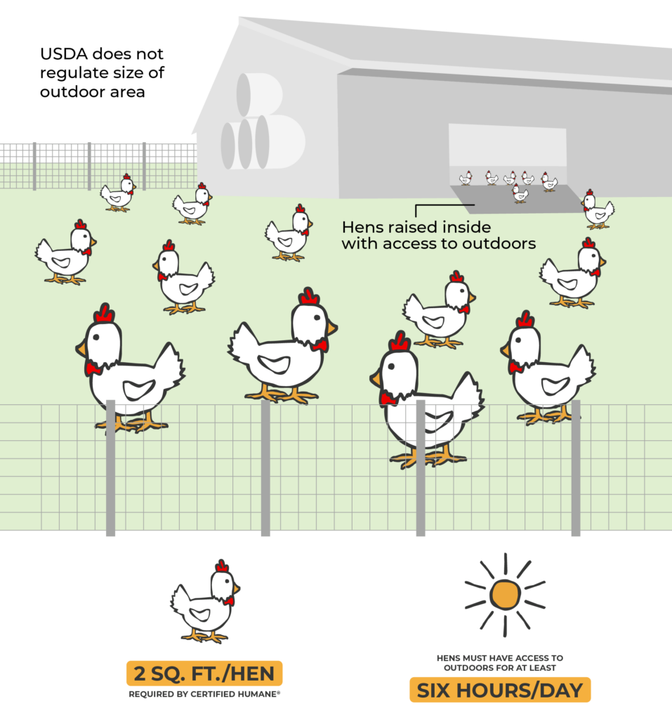 diagram of a free range egg farm