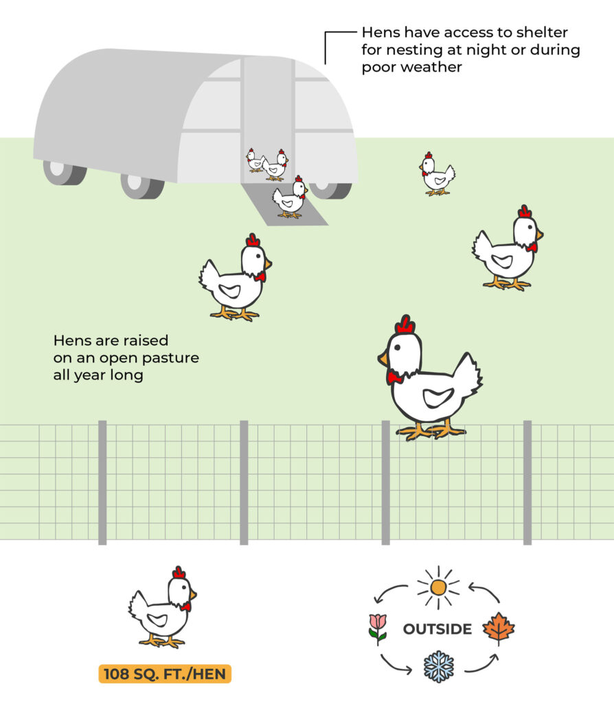 diagram of a pasture raised egg farm