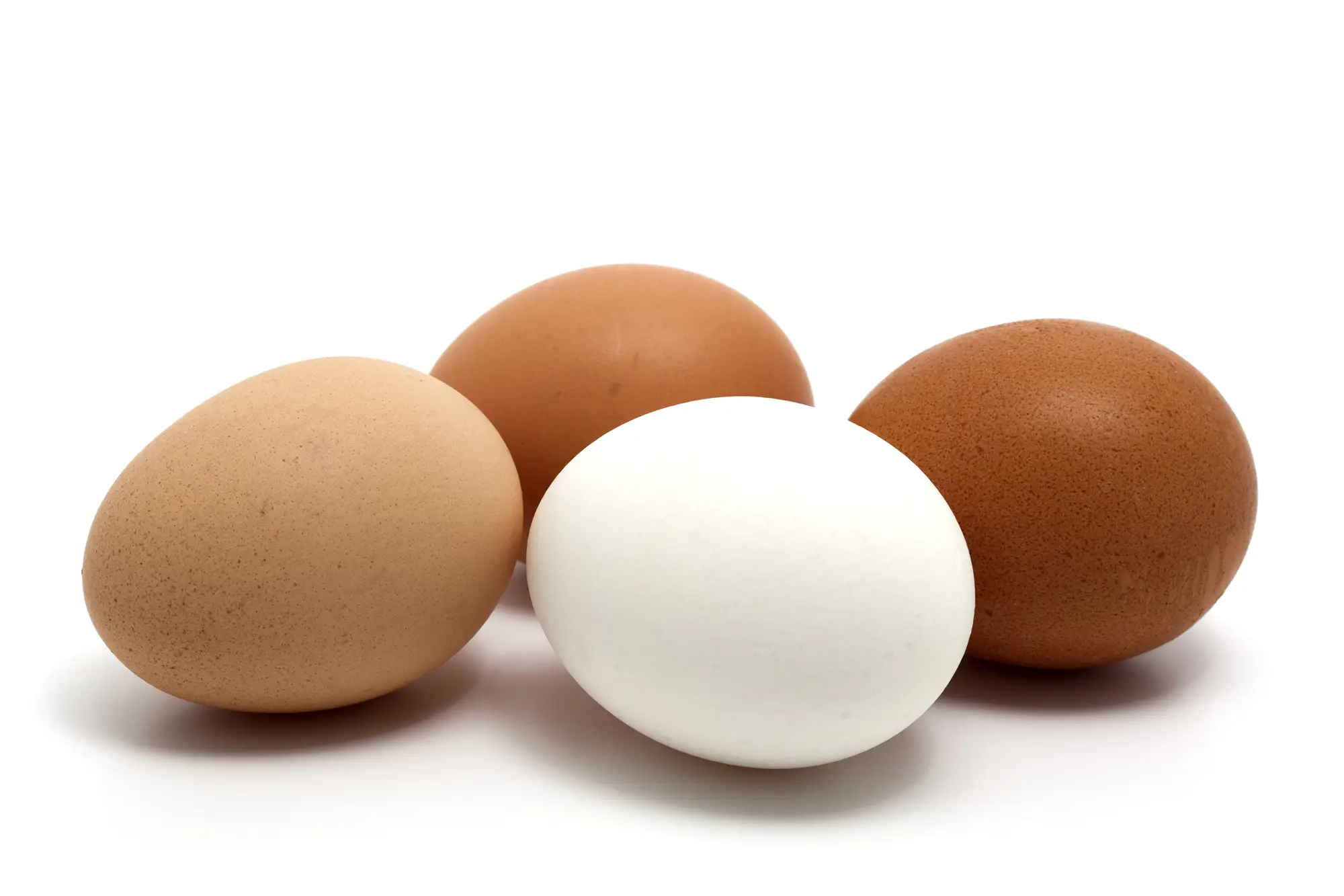 four eggs on a white background