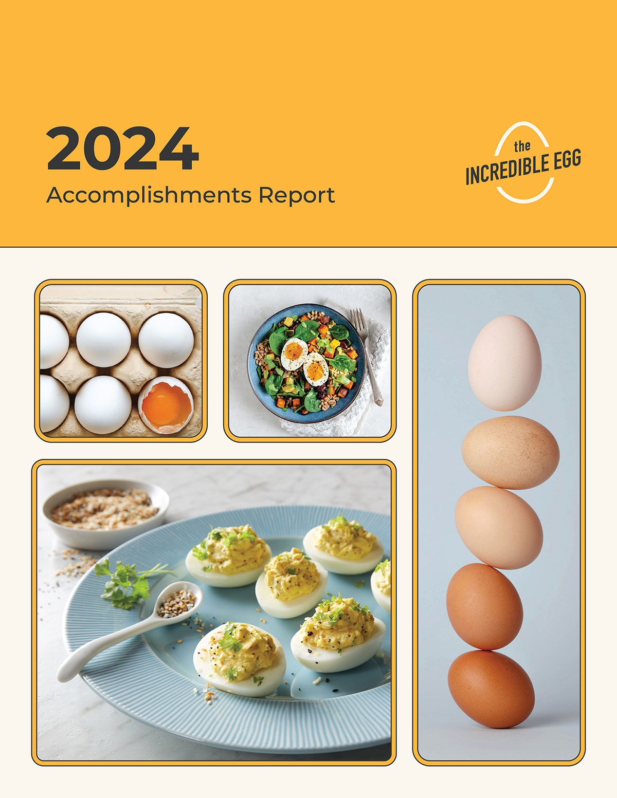 2024 Accomplishments Report cover